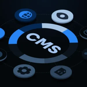 CMS Integration (WordPress, Shopify)